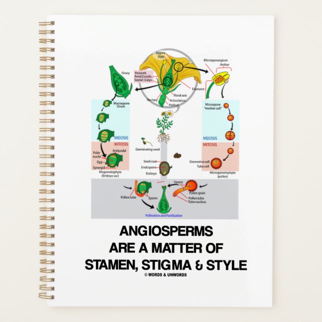 Agenda As Angiospermas São Uma Questão De Estigma E Estil (Frente)