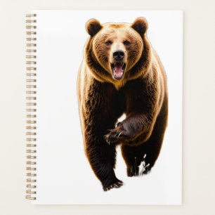 Agenda Ataque de urso-pardo a um homem pelas costas 8k em