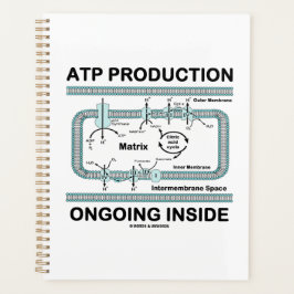 Agenda ATP Production Ongoing Inside Mitochondrion