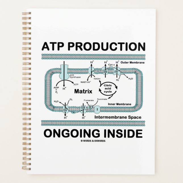 Agenda ATP Production Ongoing Inside Mitochondrion (Frente)