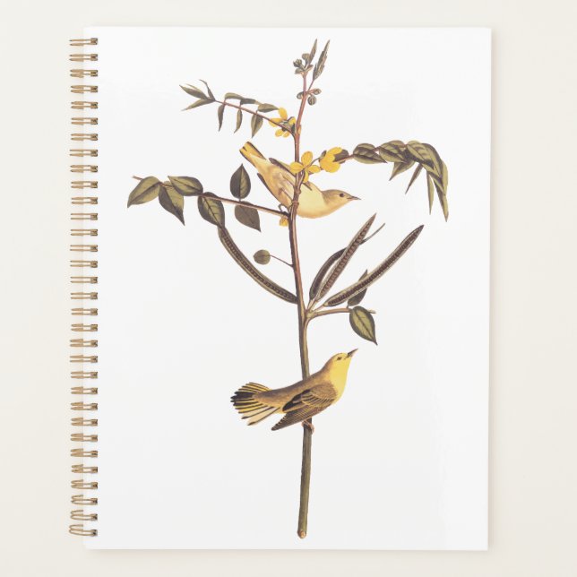 Agenda Audubon Children's Warbler Songbird (Frente)