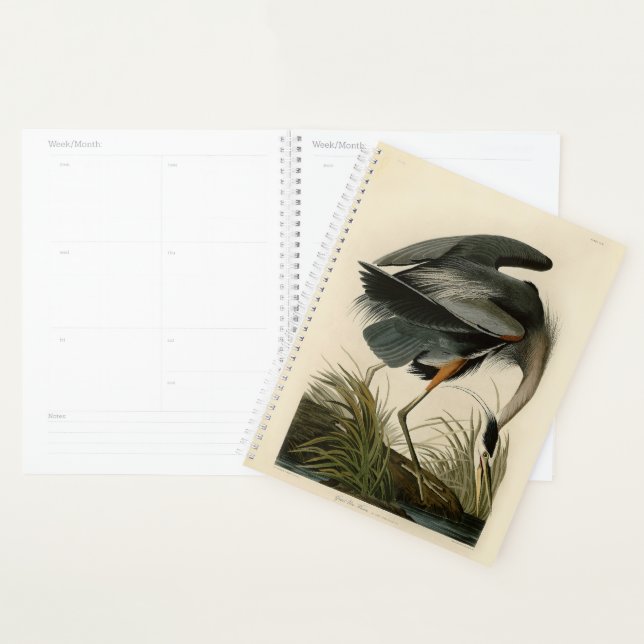 Agenda Audubon Great Blue Heron Marsh Bird (Exibição)