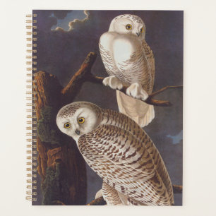 Agenda Audubon Snowy White Owls on a Dark Cloudy Night