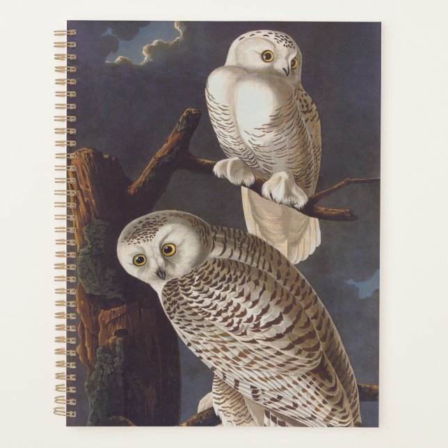 Agenda Audubon Snowy White Owls on a Dark Cloudy Night (Frente)