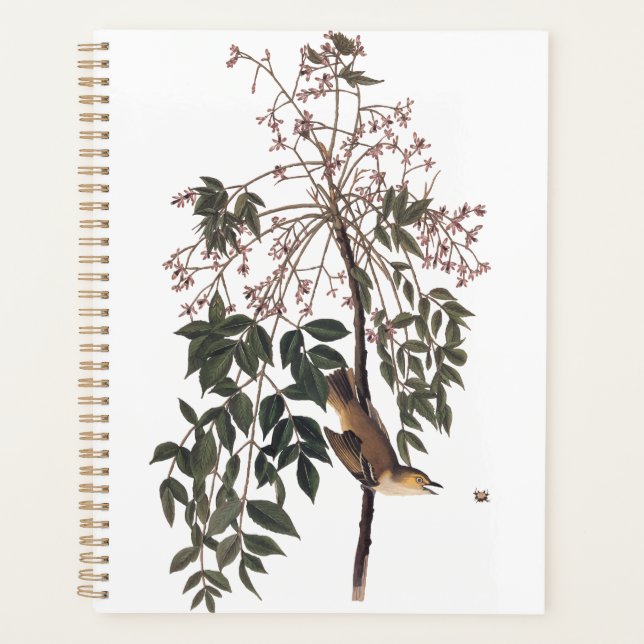 Agenda Audubon White Eyed Vireo Song Bird Art (Frente)