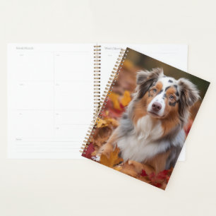 Agenda Australian Shepherd nas Folhas de Outono Caem Insp