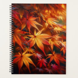 Agenda Automne