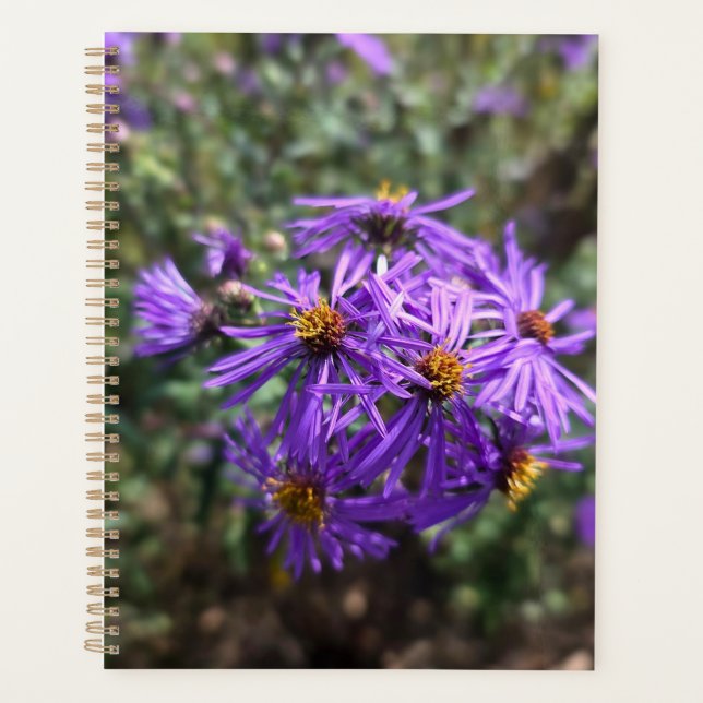 Agenda Autumn's Purple Glow (Frente)