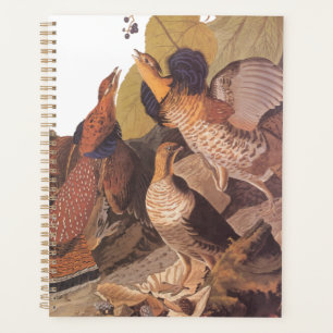 Agenda Ave de Jogo de Audubon do Agrupamento Rachado