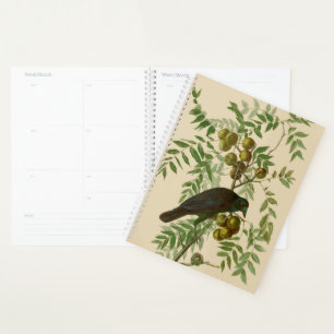 Agenda Ave Negra Americana da Audubon
