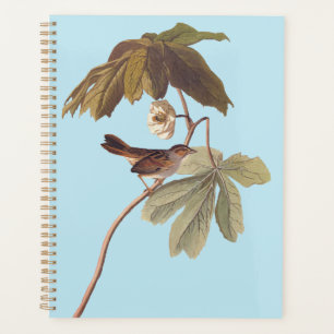 Agenda Ave-pássaro-brava do pântano de Audubon em Mandr