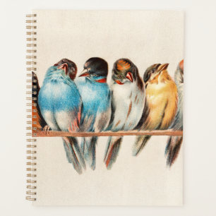 Agenda Aves Azuis e Amarelas Sentadas Bonito