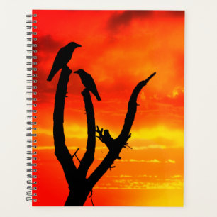 Agenda Aves e pôr do sol