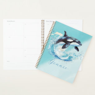 Agenda Azul e Branco Ocra Ocean Beach, Náutico