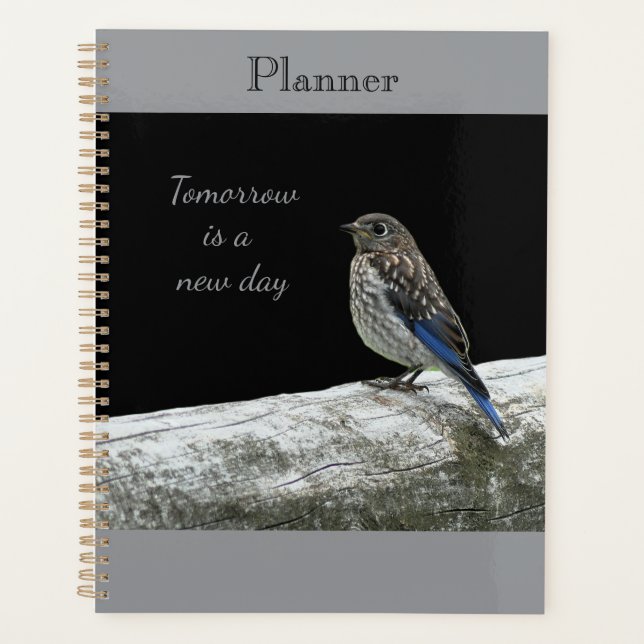 Agenda Baby Bird Planner (Frente)