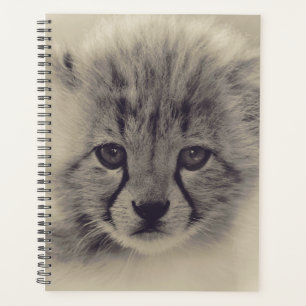 Agenda Baby Cheetah