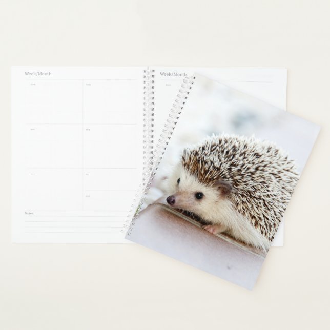 Agenda Baby Hedgehog (Exibição)