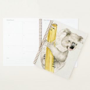 Agenda Baby Koala   Cuta e Furto