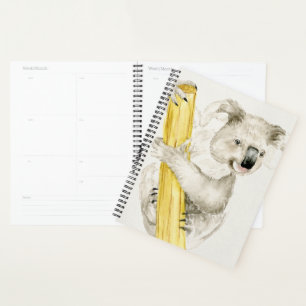 Agenda Baby Koala   Cuta e Furto