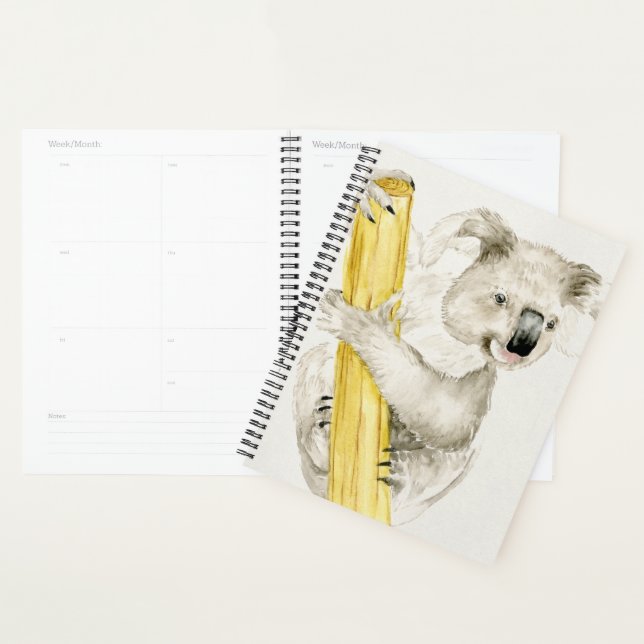 Agenda Baby Koala | Cuta e Furto (Exibição)
