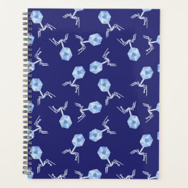 Agenda Bacteriófagos do arco-íris