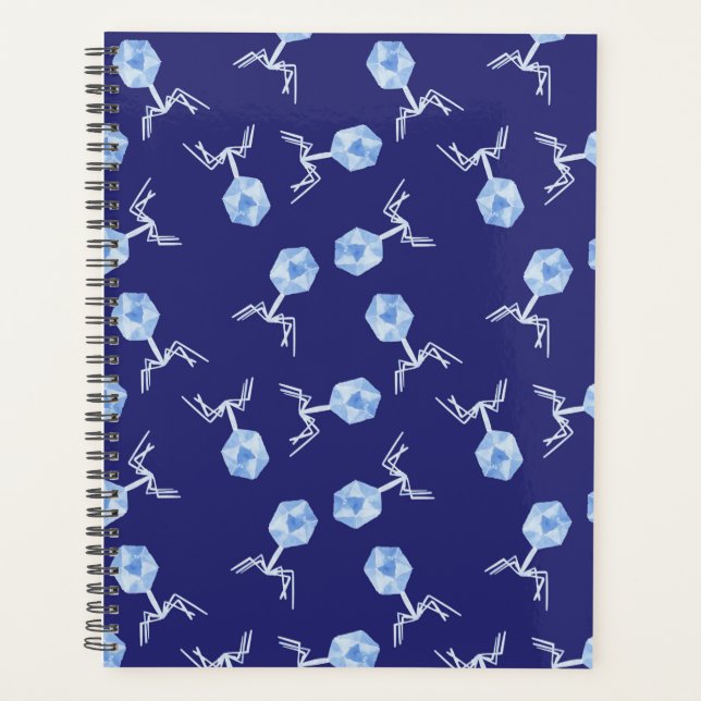 Agenda Bacteriófagos do arco-íris (Frente)