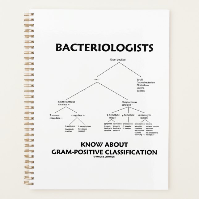 Agenda Bacteriologistas Conhecem Classificação Gram-Posit (Frente)