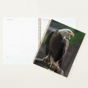 Agenda Bald Eagle Calling
