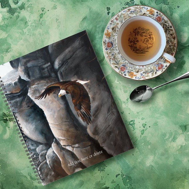 Agenda Bald Eagle Flight Rocks (Criador carregado)