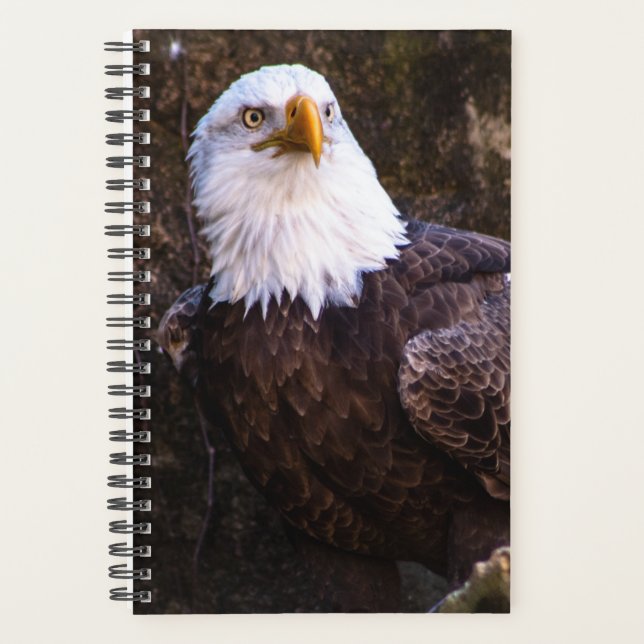 Agenda Bald Eagle Planner (Frente)