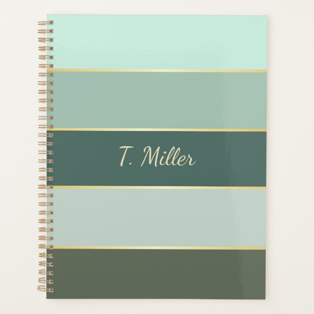 Agenda Bandas de Cores de Verão Personalizadas elegantes (Frente)