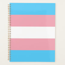 Bandeira do Orgulho Transgênero moderna