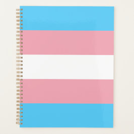 Agenda Bandeira do Orgulho Transgênero moderna