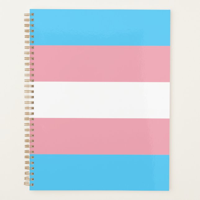 Agenda Bandeira do Orgulho Transgênero moderna (Frente)