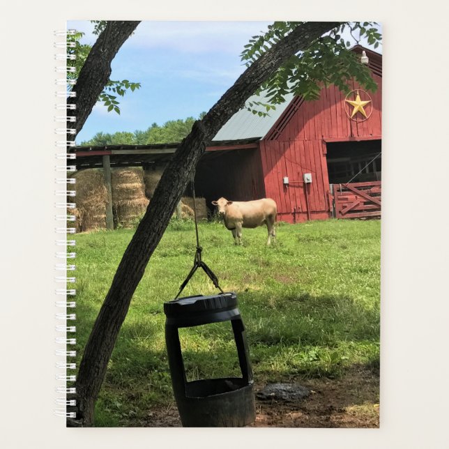 Agenda Barn & Cows, Rural North Carolina Canvas Print (Frente)