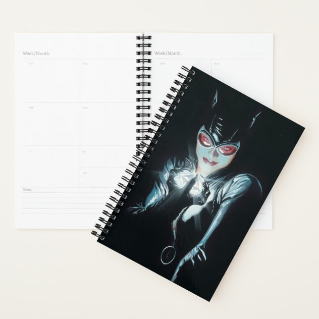 Agenda Batman Catwoman Faces of Evil Cover Illustration (Exibição)