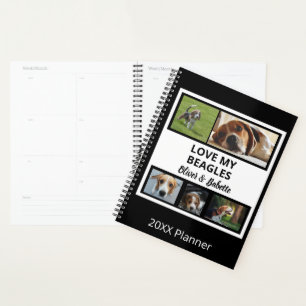 Agenda Beagle lança uma coleção personalizada de fotos de