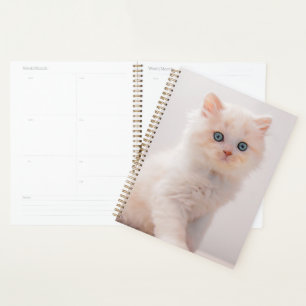 Agenda Bebês Mais Pobres   Azul-Kitten