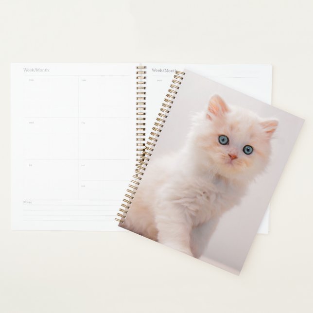 Agenda Bebês Mais Pobres | Azul-Kitten (Exibição)