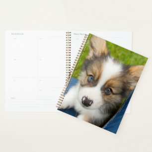 Agenda Bebês Mais Pobres Baby Corgi no meu colo