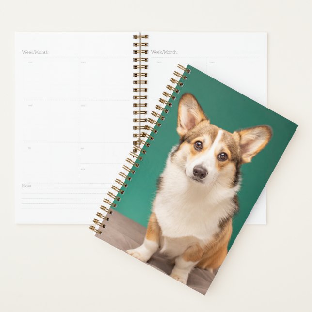 Agenda Bebês Mais Pobres | Corgi em Teal (Exibição)