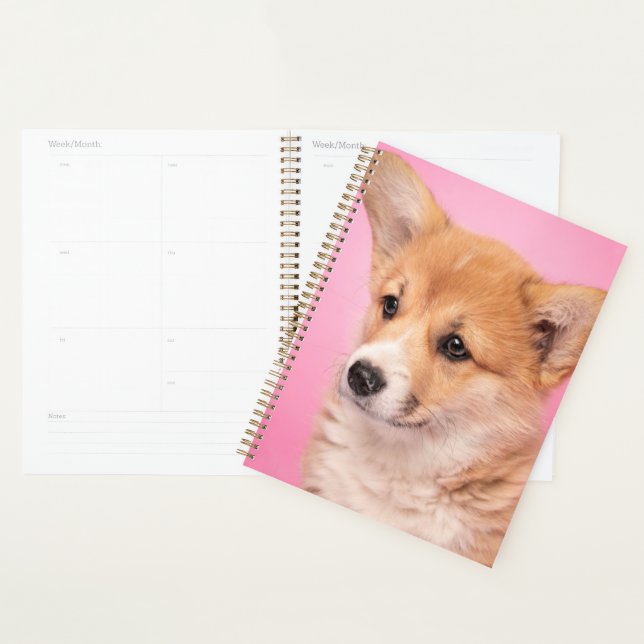 Agenda Bebês Mais Pobres | Corgi Puppy a rosa (Exibição)