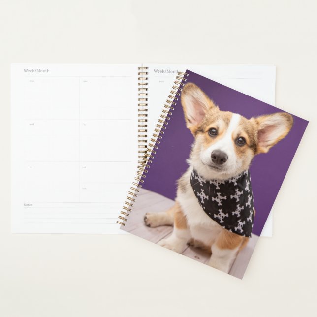 Agenda Bebês Mais Pobres | Corgi Puppy Skull Bandana (Exibição)