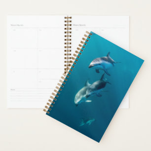 Agenda Bebês Mais Pobres Família de golfinhos