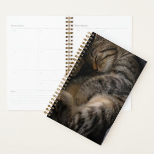 Agenda Bebês Mais Pobres Gato-De-Dormir