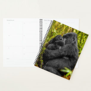 Agenda Bebês Mais Pobres Gorilla & Baby