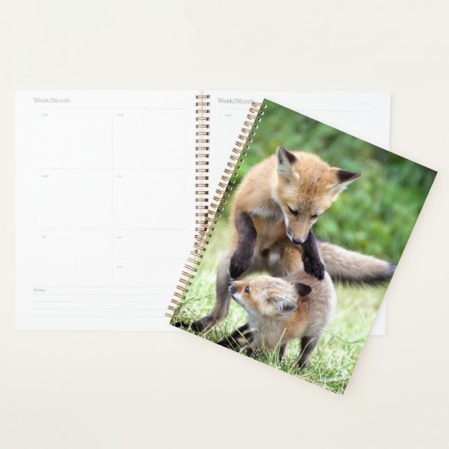 Agenda Bebês Mais Pobres | Kit Fox Adorável e Mama (Exibição)