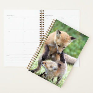 Agenda Bebês Mais Pobres Kit Fox Adorável e Mama