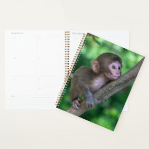 Agenda Bebês Mais Pobres Macaco Bebê