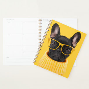 Agenda Bebês Mais Pobres Óculos de sol para Buldogue fr